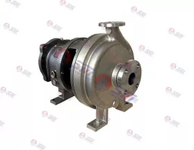 Goulds 3196 ANSI Pump, ASME B73.1 Chemical Processing Pump