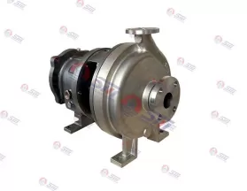 Goulds 3196 ANSI Pump, ASME B73.1 Chemical Processing Pump